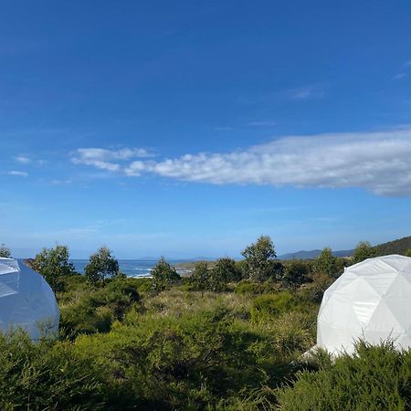 Little Beach Resort Four Mile Creek Εξωτερικό φωτογραφία